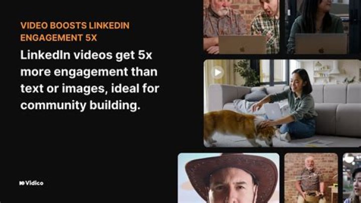 lanatheesty video statistics